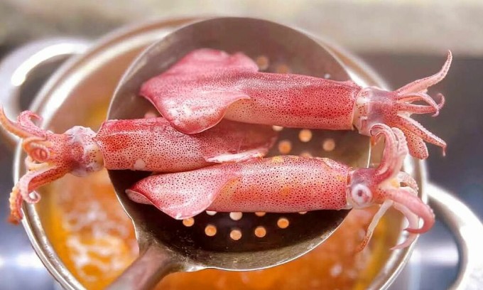 Mực ống tươi loại 30 con một kg tại cửa hàng của chị Lân ở TP Thủ Đức. Ảnh: Lê Lân