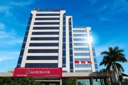 Agribank đang kinh doanh ra sao?
