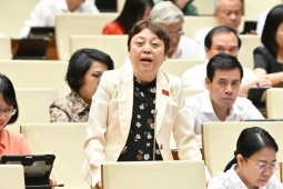  ' Thanh tra đến đâu, hàng giả giấu đến đó ' 
