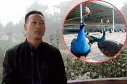 Thu tiền tỷ/năm nhờ nuôi loài khổng lồ có từ hàng ngàn năm trước