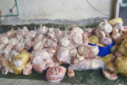 Một hộ kinh doanh ở Hà Giang trữ gần 4 tấn thực phẩm đổi màu và bốc mùi