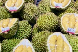 Loạn giá sầu riêng, nơi bán vài chục nghìn nơi hàng trăm nghìn đồng/kg