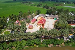 Ngôi chùa với hàng trăm cây thốt nốt cổ thụ