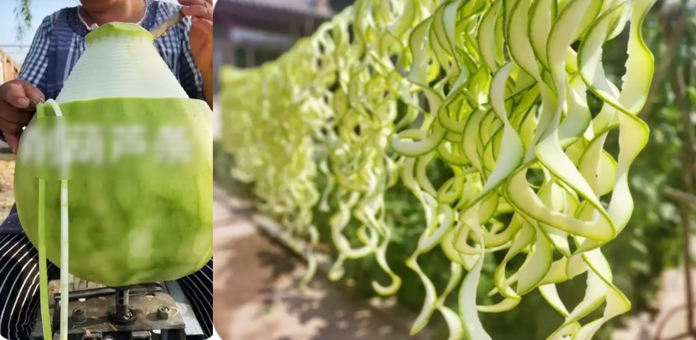 Mua “dây thừng” về để ăn, gần nửa triệu/kg vẫn ùn ùn người mua - 3