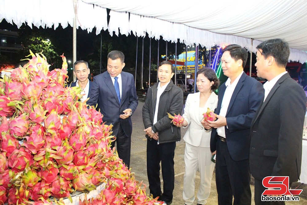 Các đồng chí lãnh đạo tỉnh tham quan sản phẩm thanh long của huyện Thuận Châu.