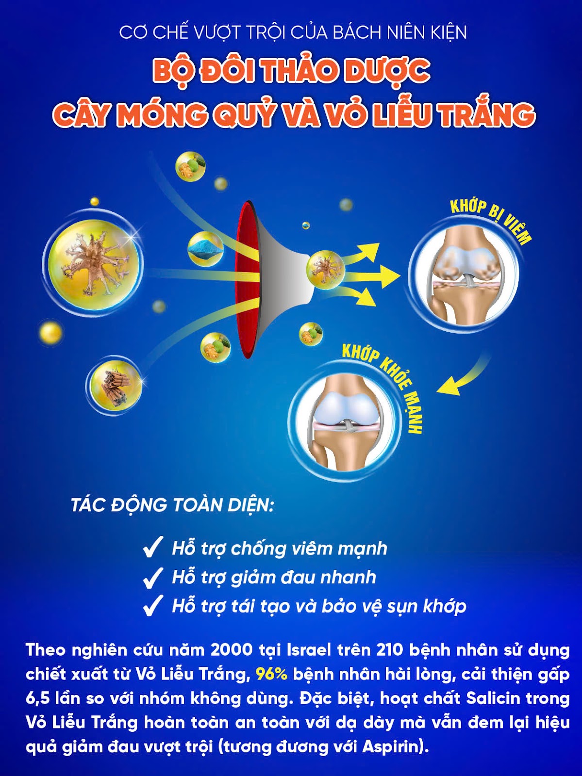 Hy vọng nào cho người đau nhức xương khớp lâu năm? Bách Niên Kiện chiết xuất từ cây móng quỷ  - 4