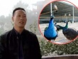 Thu tiền tỷ/năm nhờ nuôi loài khổng lồ có từ hàng ngàn năm trước