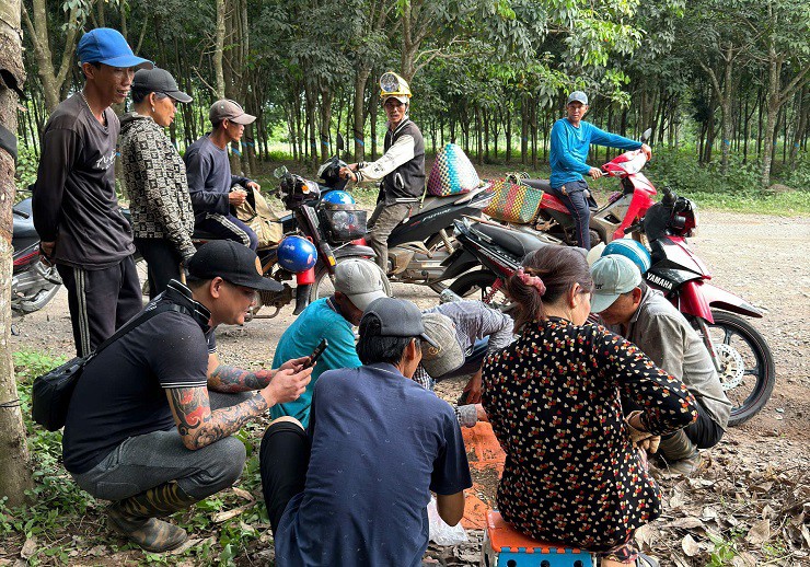 Năm nào cũng vậy, bắt đầu vào mùa mưa là người dân ở nhiều tỉnh thành phía Nam lại rủ nhau đi săn nấm mối. (Ảnh: Hoa Sen)
