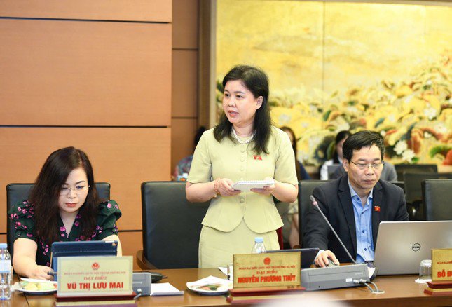 Đại biểu Quốc hội Nguyễn Phương Thủy. Ảnh: Như Ý