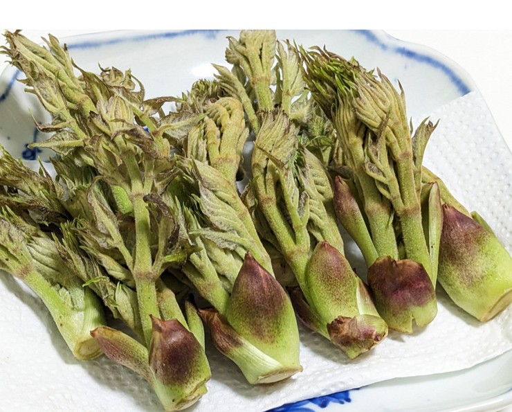 Đây là phần chồi non của cây gai mọc hoang, thường chỉ xuất hiện trên các sườn núi cao, nơi có khí hậu khắc nghiệt.
