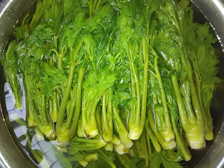 Người dân địa phương thường phải dậy từ tờ mờ sáng, leo lên những con đường rừng hiểm trở để hái rau. Khi hái, họ buộc phải mang găng tay để tránh những chiếc gai nhọn có thể gây thương tích.
