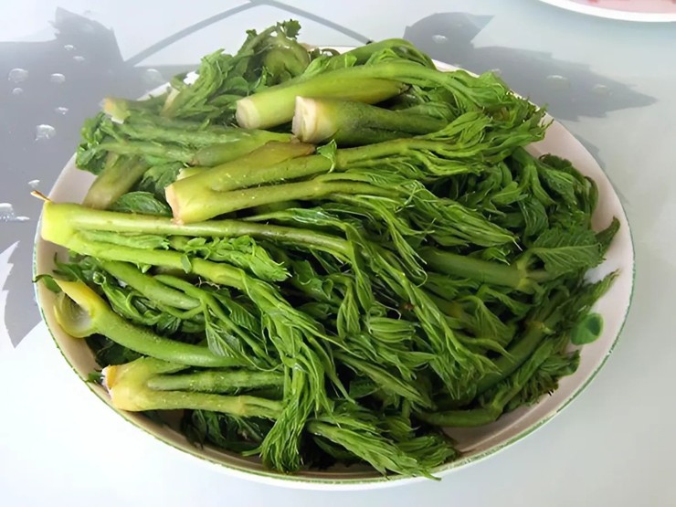 Mầm gai có vị ngọt bùi tự nhiên, giòn sần sật, được ví như “vua của các loại rau rừng”.
