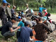 Thị trường - Tiêu dùng - “Lộc trời” ở Việt Nam mỗi năm xuất hiện một lần, dân đi hái về bán cả triệu đồng/kg