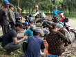 “Lộc trời” ở Việt Nam mỗi năm xuất hiện một lần, dân đi hái về bán cả triệu đồng/kg