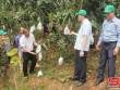 Bao quả - tăng giá trị kinh tế