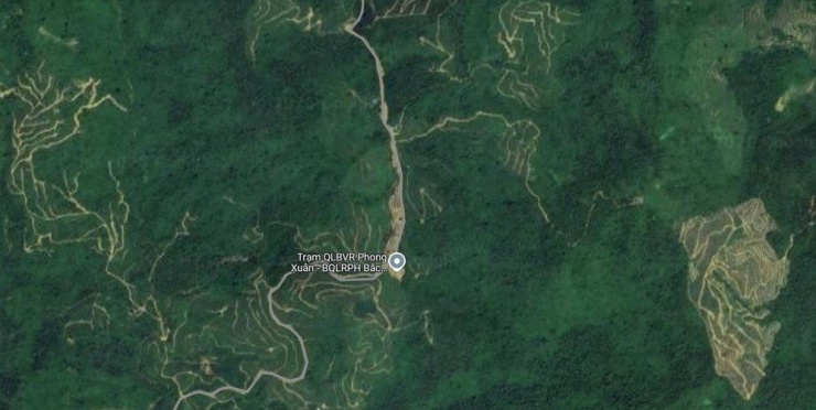 Đi đến nhà bạn theo Google maps, nữ sinh đi lạc vào sâu trong rừng. Trong ảnh: Đường 71 chạy giữa khu vực rừng núi hiểm trở