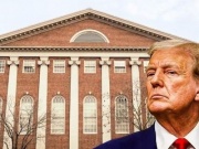 Thẩm phán chặn quyết định  ' cấm Đại học Harvard tuyển sinh viên nước ngoài '  của Tổng thống Trump