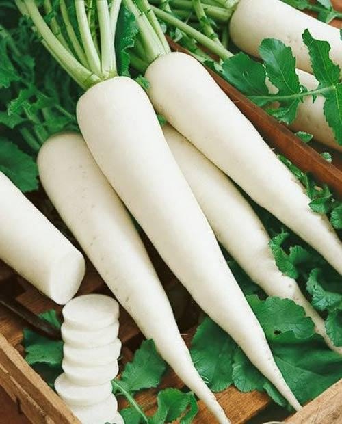 Với vị ngọt nhẹ, thanh mát và dễ chế biến, củ cải trắng có thể trở thành nguyên liệu tuyệt vời cho nhiều món ăn hỗ trợ sức khỏe