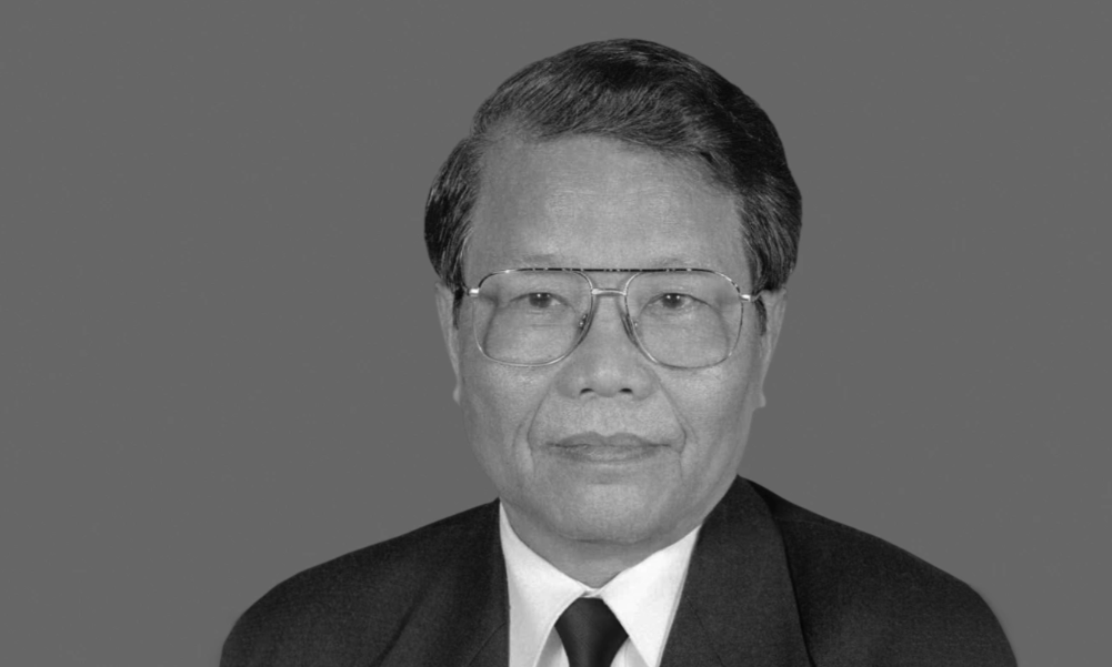 Nguyên Chủ tịch nước Trần Đức Lương. Ảnh: TTXVN