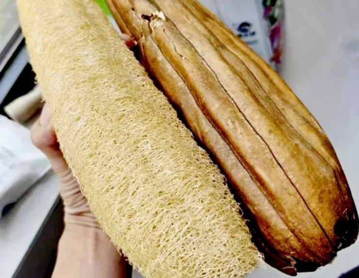 Thứ nhiều người Việt vứt đi, ở đây thành “mỏ vàng”, bán gần 1 triệu/kg - 2