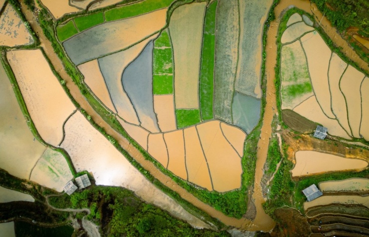 Không chỉ đến để ngắm cảnh, du khách còn có thể trải nghiệm cuộc sống của người Mông địa phương: cùng lên nương, lội ruộng, học cách cấy lúa, hoặc đơn giản là ngồi nhâm nhi chén rượu ngô giữa núi rừng mát lành. Ảnh Giàng A Chay