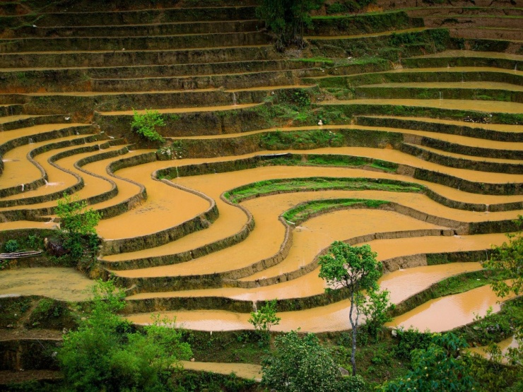 Mùa này, trẻ em vùng cao rộn ràng nô đùa bên ruộng, người lớn nhẫn nại làm đất, tất cả tạo nên bức tranh sinh động về lao động và cuộc sống nơi biên viễn. Ảnh Giàng A Chay