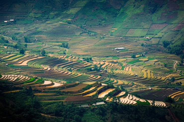 Để chuyến đi Mù Cang Chải mùa nước đổ trở nên trọn vẹn, du khách nên đi vào cuối tháng 5 đến giữa tháng 6, khi ruộng bậc thang đẹp nhất. Phương tiện di chuyển thuận tiện từ Hà Nội là ô tô hoặc xe máy, khoảng cách tầm 280 km. Đừng quên mang theo giày trekking, áo chống nắng, mũ và đồ chống côn trùng để tiện di chuyển và bảo vệ sức khỏe. Lưu ý, vì mùa nước đổ thu hút nhiều du khách, nên du khách hãy đặt lịch trước tại các homestay hoặc nhà nghỉ để tránh tình trạng hết phòng, nhất là vào cuối tuần. Ảnh Giàng A Chay