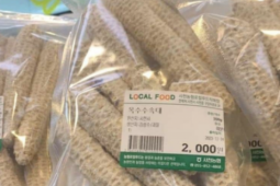 Thị trường - Tiêu dùng - Thứ &quot;cùi bắp&quot; vứt đầy ngoài ruộng ở Việt Nam được bán ở siêu thị Hàn Quốc, giá hàng trăm nghìn đồng/kg