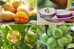 Việt Nam có tới 8 loại trái cây ngon nhất Đông Nam Á, một loại hiếm ai biết tới
