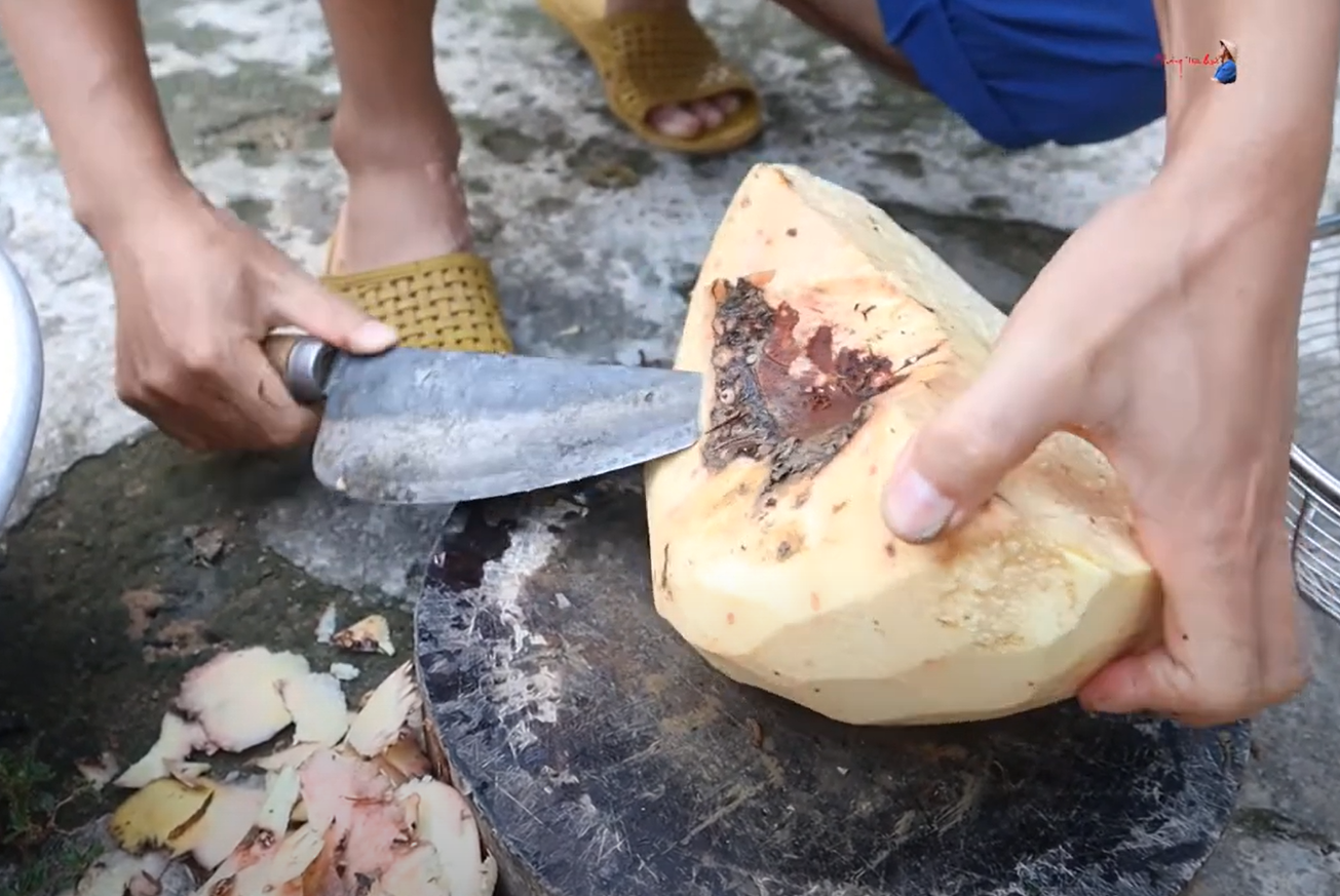 Ruột củ nưa màu ngả vàng, nếu chế biến đúng cách sẽ không gây ngứa. Ảnh: Trai Hà Bắc