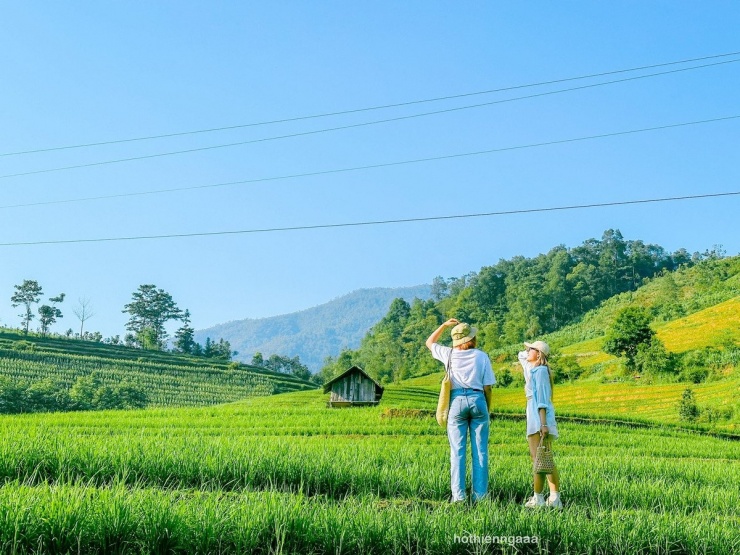 Nậm Cang là bản làng nằm sâu trong xã cùng tên, thuộc huyện Sa Pa, tỉnh Lào Cai. Nơi đây cách trung tâm thị xã Sa Pa hơn 30 km, đường đi quanh co, men theo triền núi, xuyên qua những cánh rừng tre và những thửa ruộng bậc thang nằm chênh vênh giữa sườn đồi. Ảnh Hồ Thiên Nga