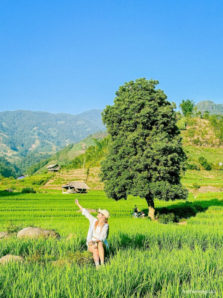 Những ai ưa khám phá có thể kết hợp trekking trong rừng nguyên sinh gần đó, nơi lưu giữ nhiều loài thực vật quý và cảnh quan kỳ thú.