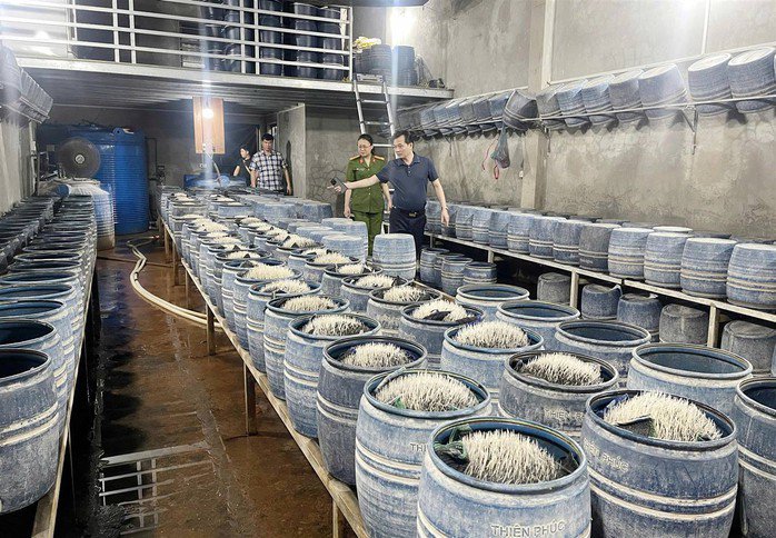 Hàng trăm thùng giá đỗ được ngâm hóa chất chuẩn bị được đưa ra thị trường tiêu thụ. Ảnh: Công an cung cấp