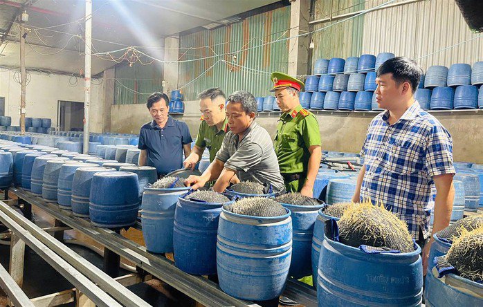 Lực lượng chức năng kiểm tra quá trình sản xuất giá đỗ có ngâm hóa chất độc hại. Ảnh: Công an cung cấp