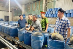Tin tức trong ngày - Cận cảnh cơ sở dùng hóa chất độc hại để sản xuất gần 350 tấn giá đỗ bán cho người dân