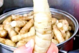 Quà quê quen thuộc rẻ như cho, lên phố thành đặc sản  hái ra tiền 