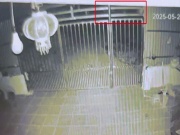 Tin tức trong ngày - Camera nhà dân ghi lại khoảnh khắc người đi xe máy lao xuống ‘hố tử thần’ sâu 10m