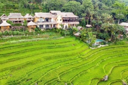 Cảnh đẹp hút mắt ở ‘thiên đường giữa đại ngàn' của xứ Thanh