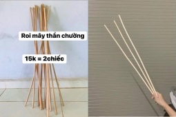 Roi mây rao bán trên mạng, phụ huynh đua nhau chốt đơn