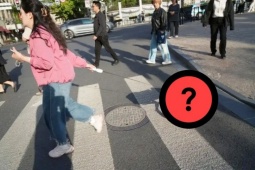 Nuôi loài chó  không cần ăn uống , kiếm tiền triệu/ngày