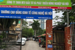 Bộ GD-ĐT lên tiếng việc hơn 100 sinh viên bị dừng học không lý do
