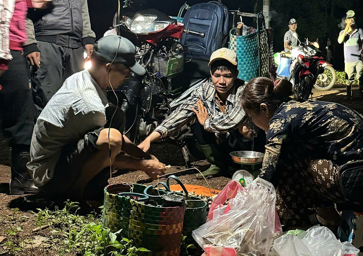 Việc hái nấm mối có thể mang lại thu nhập cả triệu đồng nhưng cũng có thể lỗ cả triệu đồng vì không đi đúng ngày nấm mọc. (Ảnh: Hoa Sen)