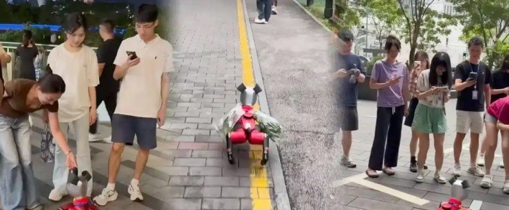 Nuôi loài chó “không cần ăn uống”, kiếm tiền triệu/ngày - 2