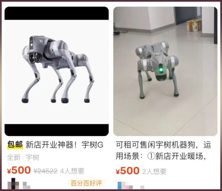 Nuôi loài chó “không cần ăn uống”, kiếm tiền triệu/ngày - 3