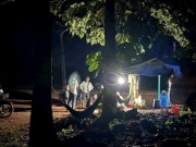 Thị trường - Tiêu dùng - “Lộc trời” tại Việt Nam xuất hiện vào ban đêm, dân soi đèn đi hái kiếm tiền triệu