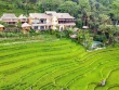 Cảnh đẹp hút mắt ở ‘thiên đường giữa đại ngàn' của xứ Thanh