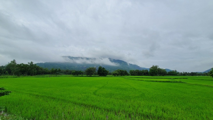Mây bao phủ núi lúc tờ mờ sáng. Ảnh: Hà Sang