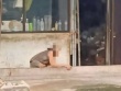 Phát hiện cụ bà 76 tuổi ăn xốp, sống một mình trong căn nhà đầy rác