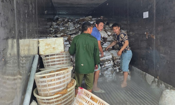 Hàng hoá được cất giấu trong các kho đông lạnh. Ảnh: Quản lý thị trường