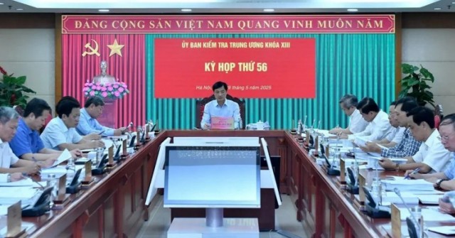 Ủy ban Kiểm tra Trung ương kỷ luật cảnh cáo bà ...